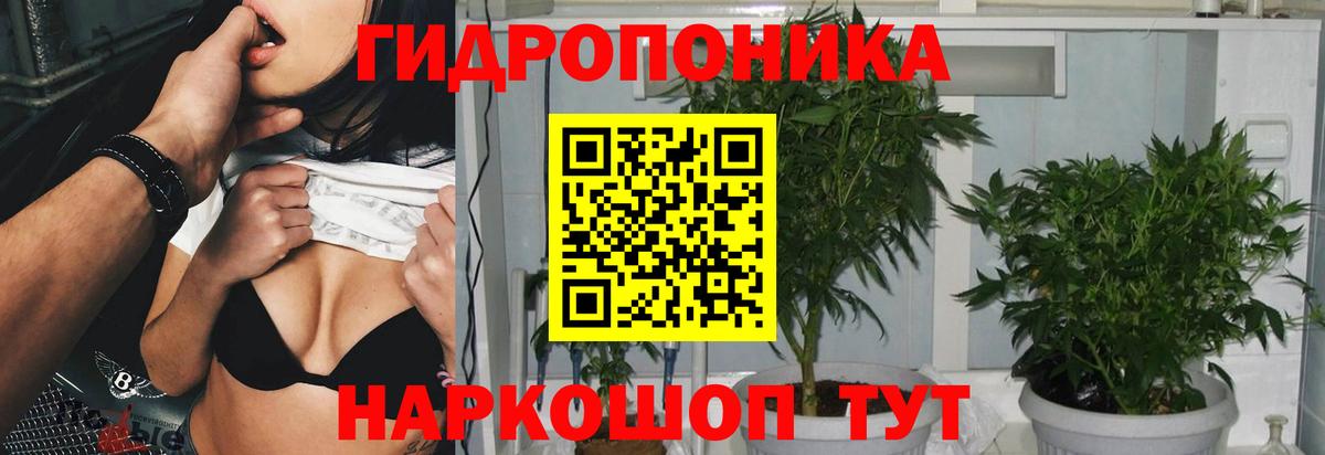 Канабис White Widow  Бошки Шишки ГИДРОПОН  Конопля сатива  Каннабис индика  Михайловка  Вход с VPN 